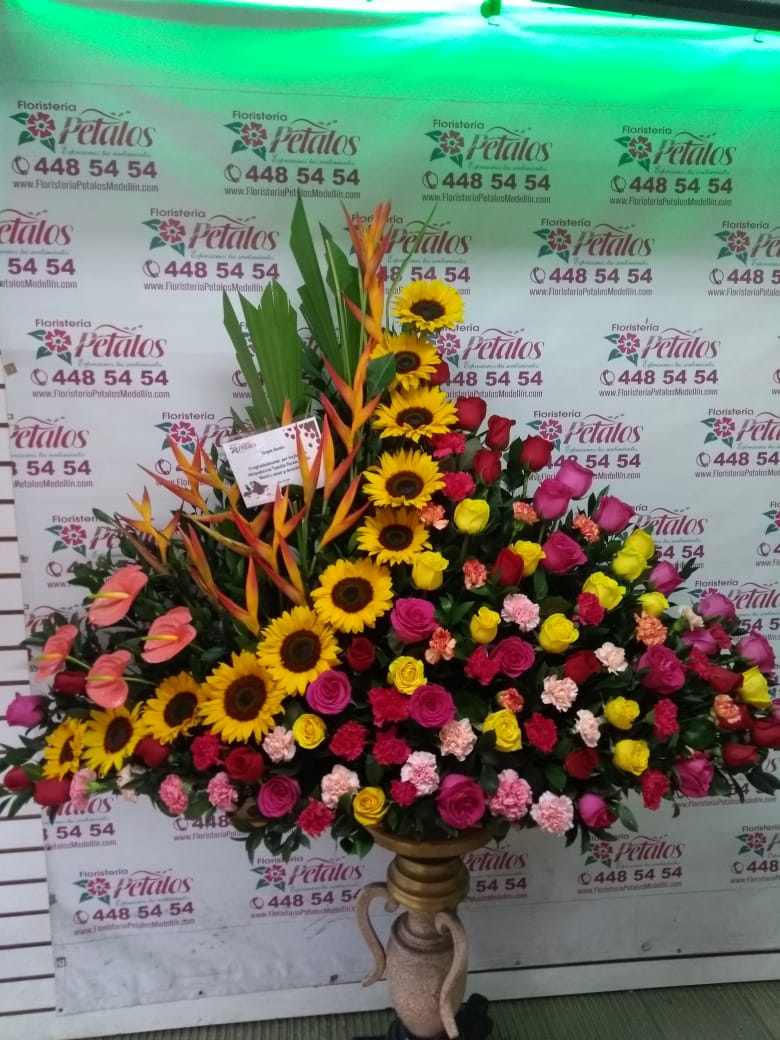 24 Horas➤Floristería Pétalos WhatsApp 317 747 0000